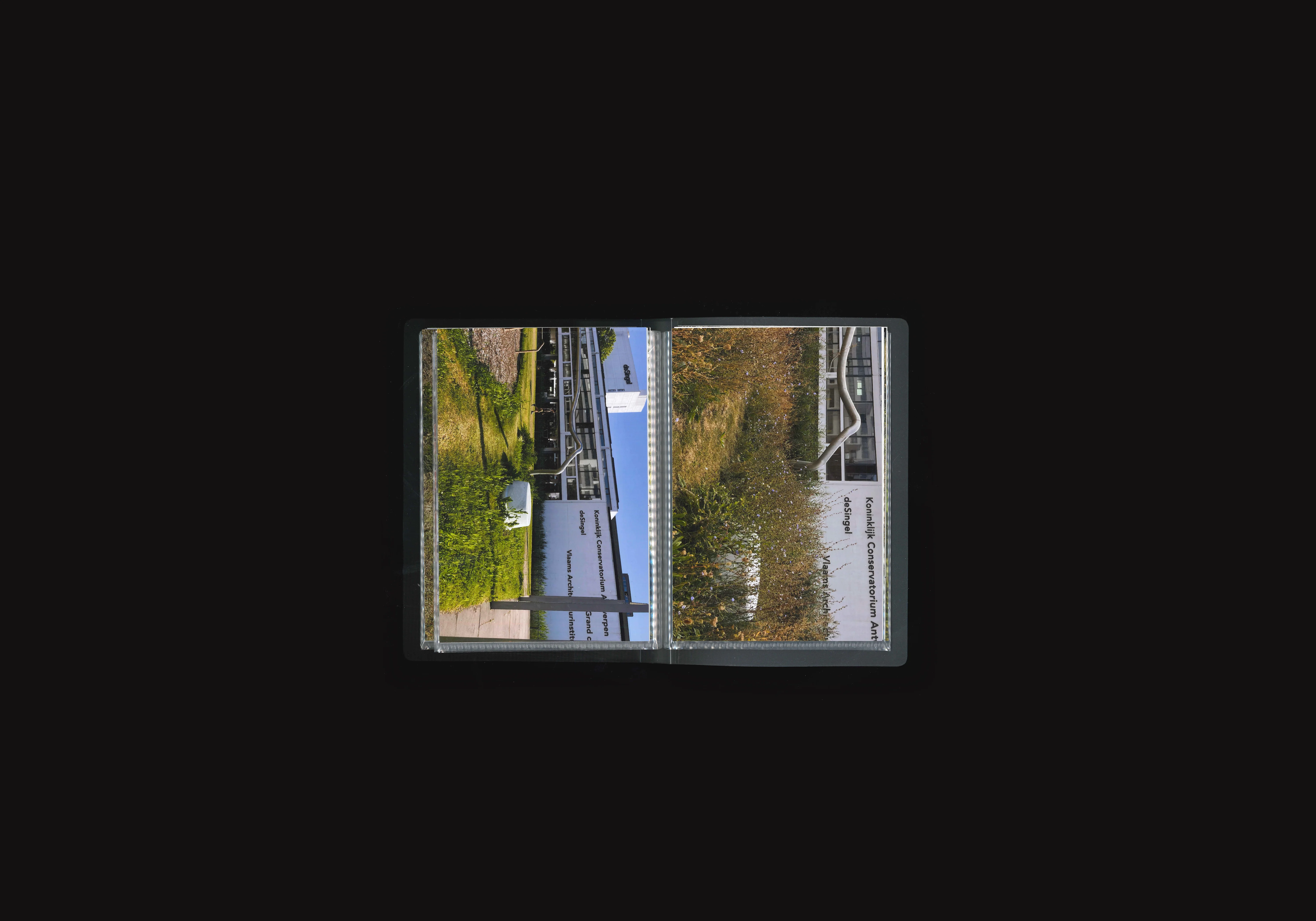 Place to Grow,image 5
